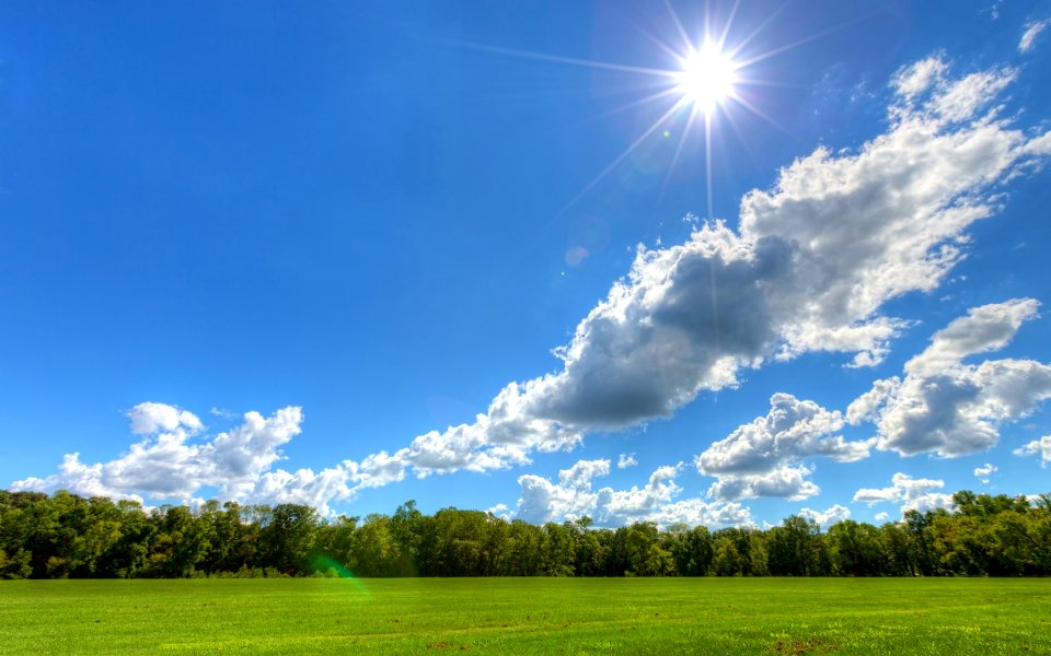sunny-day