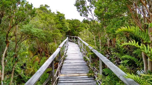 Parque Nacional Chiloé