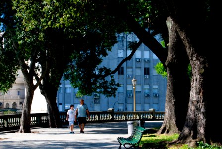Paseo en San Martin