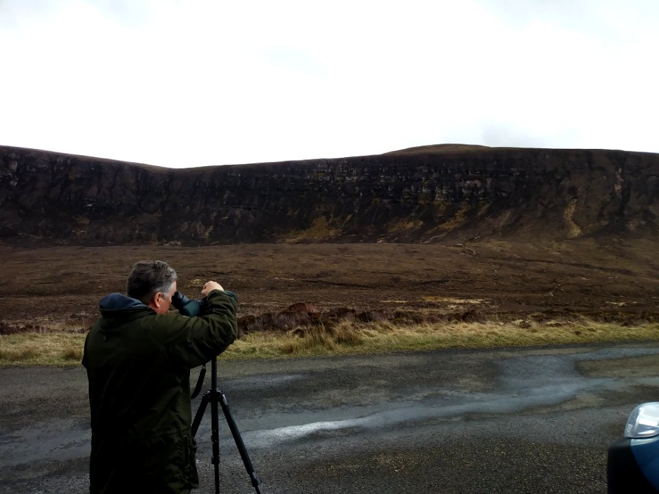 Hoy - watching a White Tailed Eagle