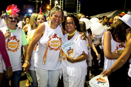 12.02.2018 - Bloco da Paz desfila na Passarela do Samba no Porto de Pelotas - Foto: Gustavo Vara