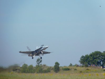 McDonnell Douglas F/A-18 Hornet photo