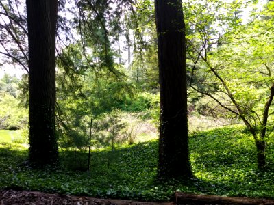 Biltmore, USA, May 2018