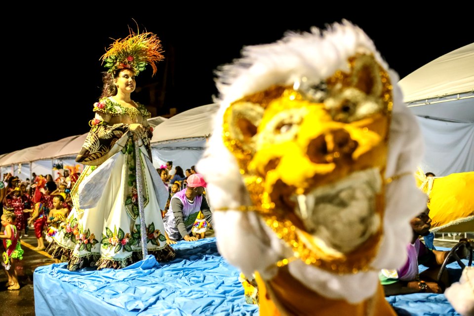 12.02.2018 Carnaval 2018 Escola de Samba Mirim Ramirinho - Fotos Gustavo Mansur