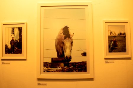 08.09.2019 - Exposição fotográfica analógica "Rumo" - Foto Michel Corvello