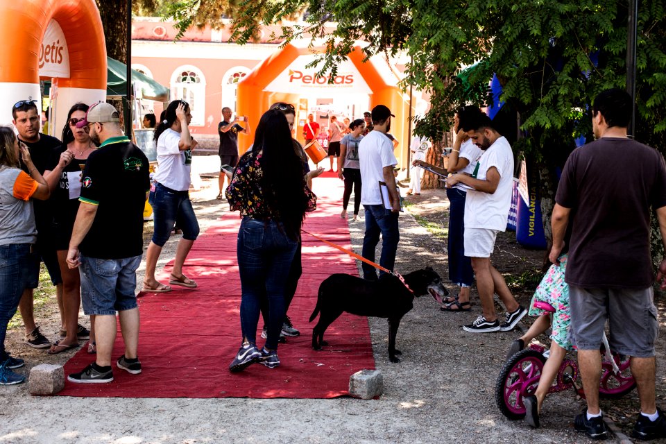 08.12.2019 - Encerramento da 2ª Semana de Proteção Animal - Foto: Gustavo Vara