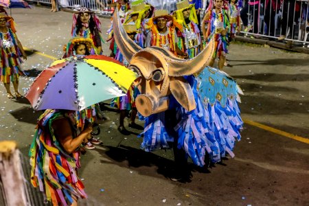 Carnaval 2018 Escola de Samba Academia do Samba - Fotos Gustavo Mansur