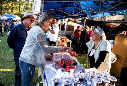 12.11.2017 - 1ª Festa do Morango é atração na comunidade do Redentor, na Estrada da Gama, localizada no Monte Bonito. Com a presença do secretário muncipal Jair Seidel, vice prefeito Idemar Barz e a prefeita Paula Mascarenhas