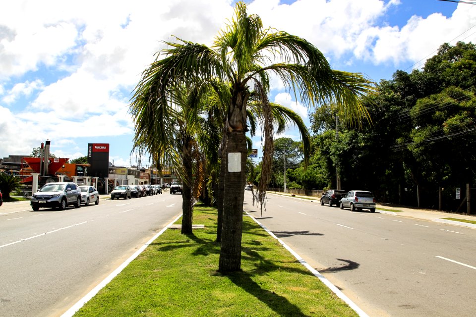 30.01.2018 - Prefeita Paula Mascarenhas durante entrega da Avenida Viscondessa da Graça e da rua Saturnino de Brito - Foto: Gustavo Vara