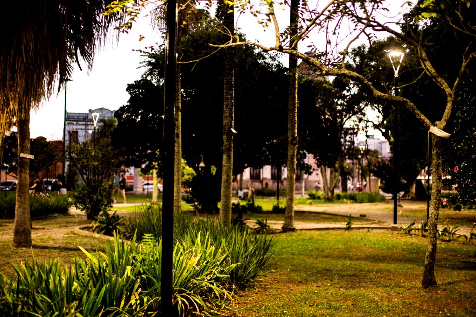 28.04.2021 - Prefeita Paula Mascarenhas em caminhada de entrega da iluminação da Praça Coronel Pedro Osório - Foto: Gustavo Vara
