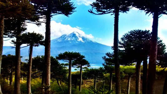 Parque Nacional Conguillio