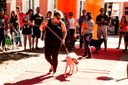 08.12.2019 - Encerramento da 2ª Semana de Proteção Animal - Foto: Gustavo Vara