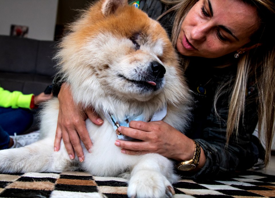 05.05.2021 - Entrevista com a tutora de cão adotado no Canil Municipal - Foto Michel Corvello