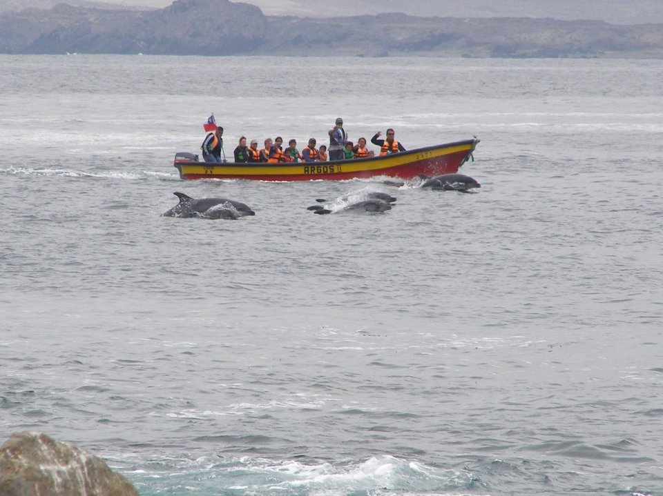 Isla Damas