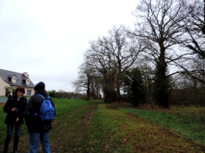 4nous abordons un nouveau chemin vers le bois