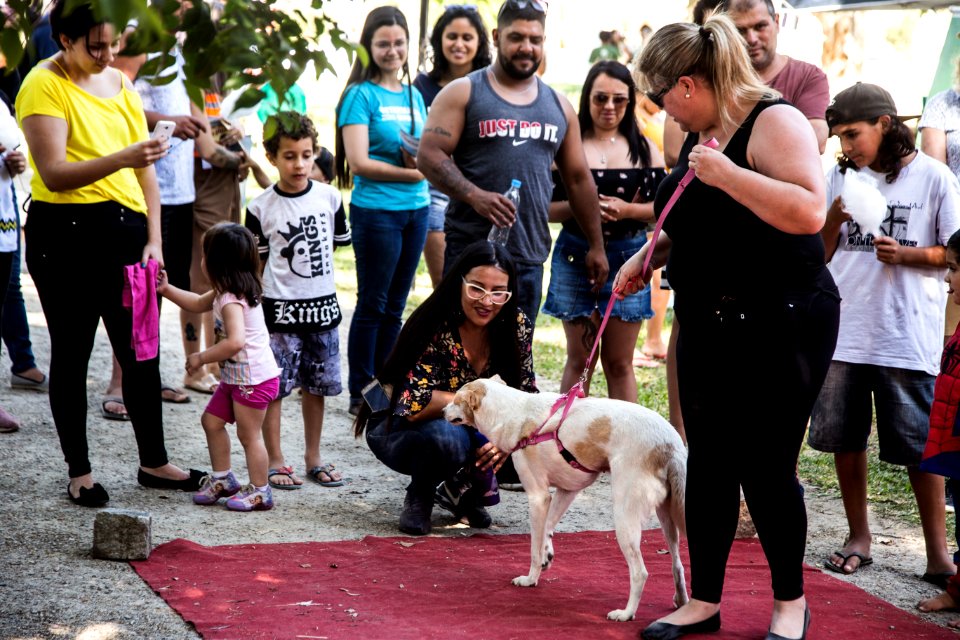 08.12.2019 - Encerramento da 2ª Semana de Proteção Animal - Foto: Gustavo Vara