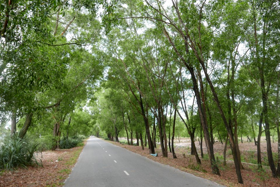 Hometown Road (My Thuy)