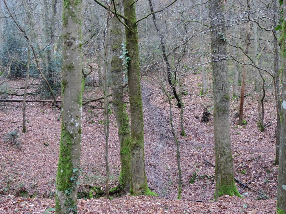 17DSCN6118 passage vtt