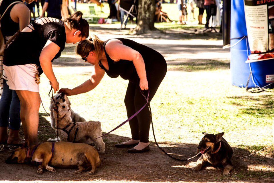 08.12.2019 - Encerramento da 2ª Semana de Proteção Animal - Foto: Gustavo Vara