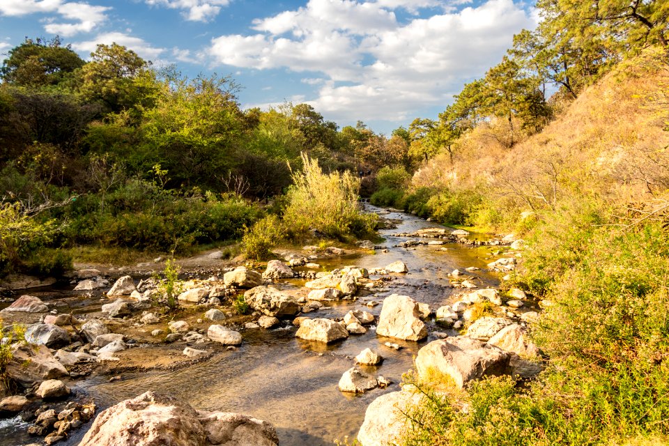 Guadalajara y su bosque de la eterna primavera
