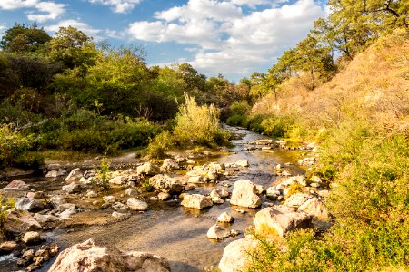 Guadalajara y su bosque de la eterna primavera