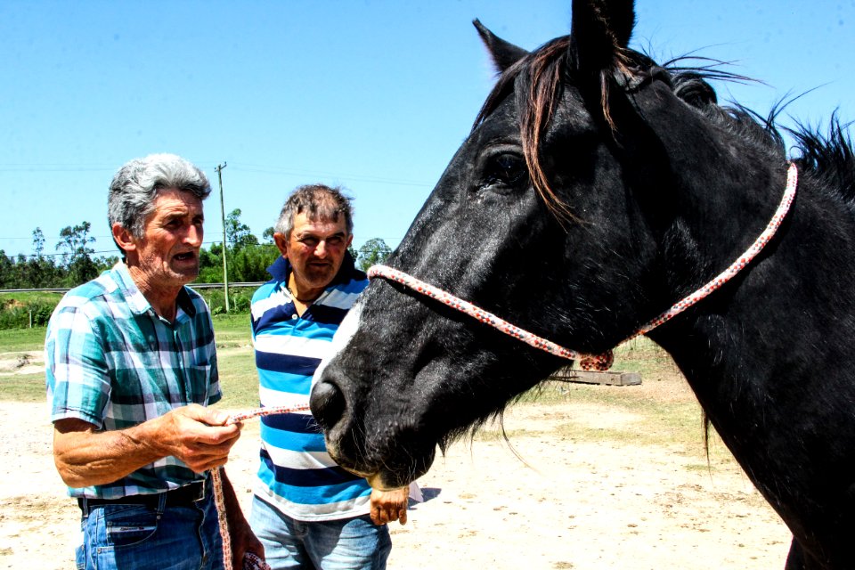 14.11.2017 - Vice-prefeito Idemar Barz no evento de doação de cavalos da Hospedaria Municipal