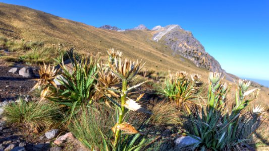 Nevado de Toluca photo