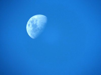 Luna de día