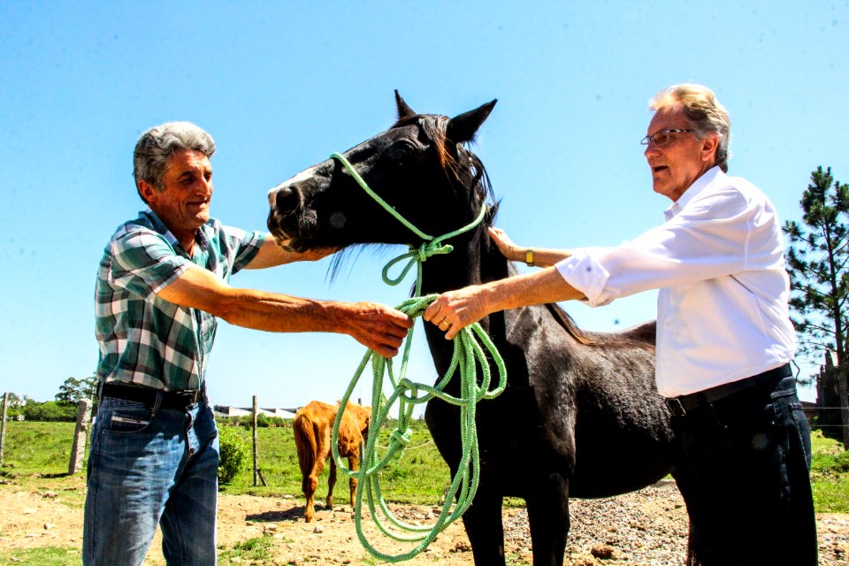 14.11.2017 - Vice-prefeito Idemar Barz no evento de doação de cavalos da Hospedaria Municipal