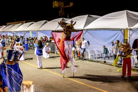 Carnaval 2018 Escola de Samba Academia do Samba - Fotos Gustavo Mansur