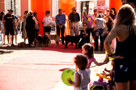 08.12.2019 - Encerramento da 2ª Semana de Proteção Animal - Foto: Gustavo Vara