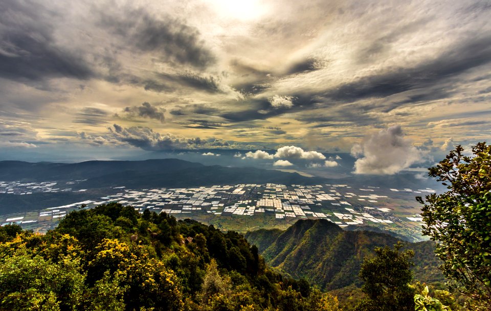 Cerro Viejo, Jalisco