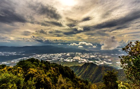 Cerro Viejo, Jalisco