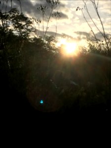 Soleil couchant