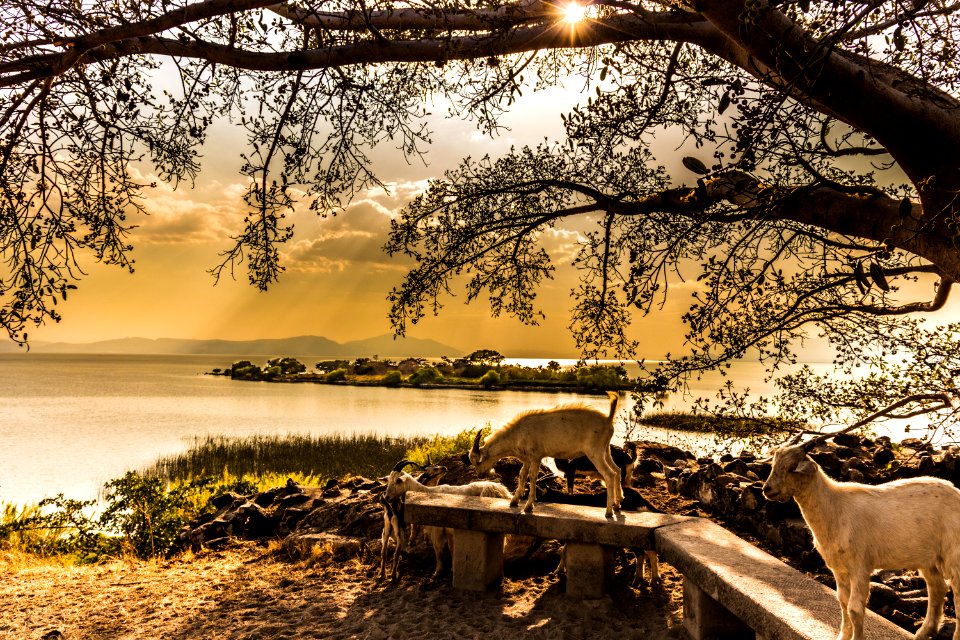 En el lago de Chapala se encuentra esta isla