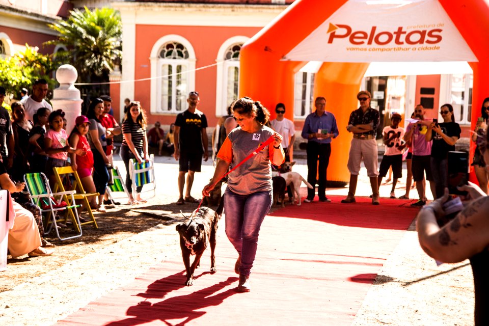 08.12.2019 - Encerramento da 2ª Semana de Proteção Animal - Foto: Gustavo Vara