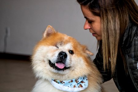 05.05.2021 - Entrevista com a tutora de cão adotado no Canil Municipal - Foto Michel Corvello