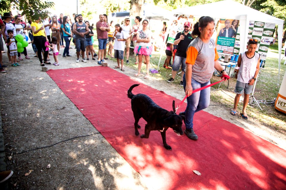 08.12.2019 - Encerramento da 2ª Semana de Proteção Animal - Foto: Gustavo Vara