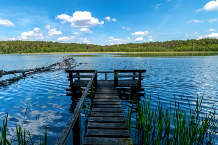 Drawieński Park Narodowy photo