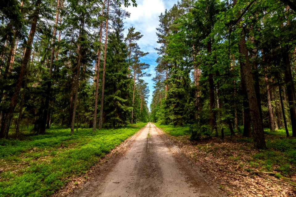 Drawieński Park Narodowy