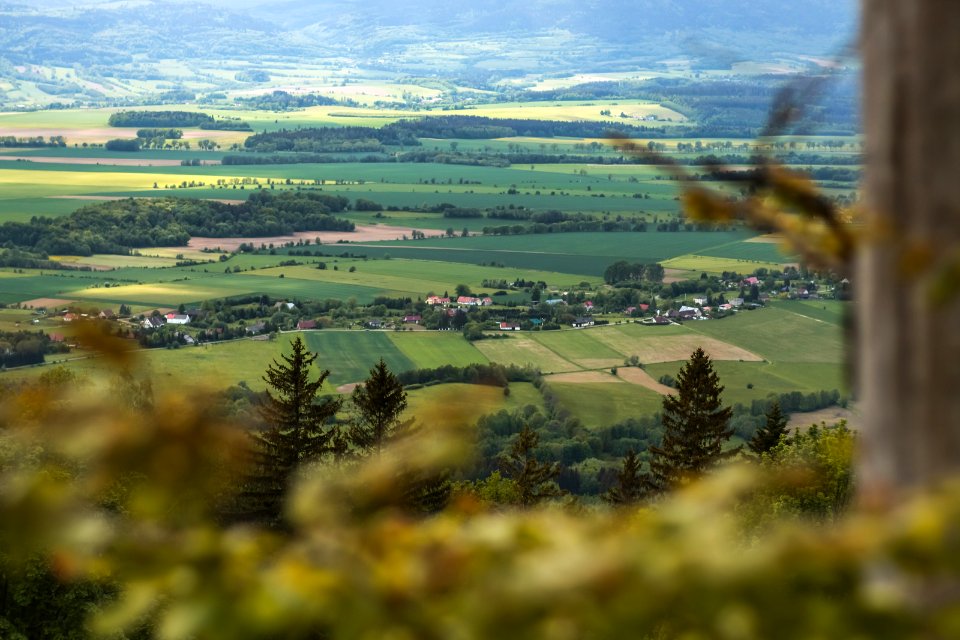 Międzygórze