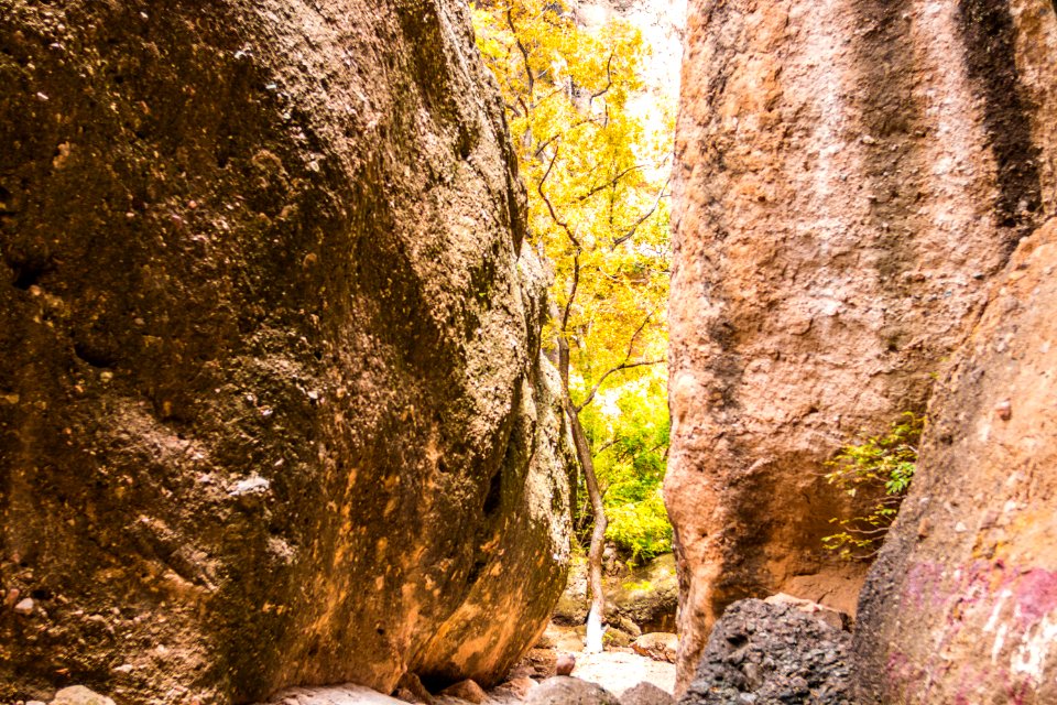 Cañón de Namúrachi
