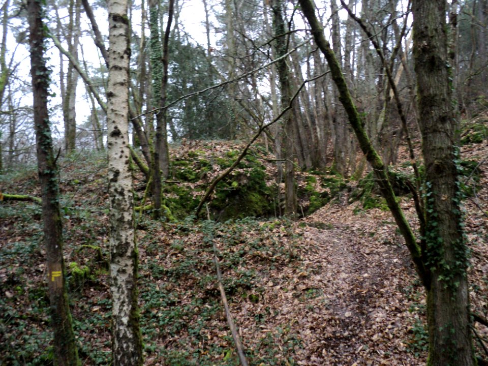 23bis piste vtt le long de la voie ferrée