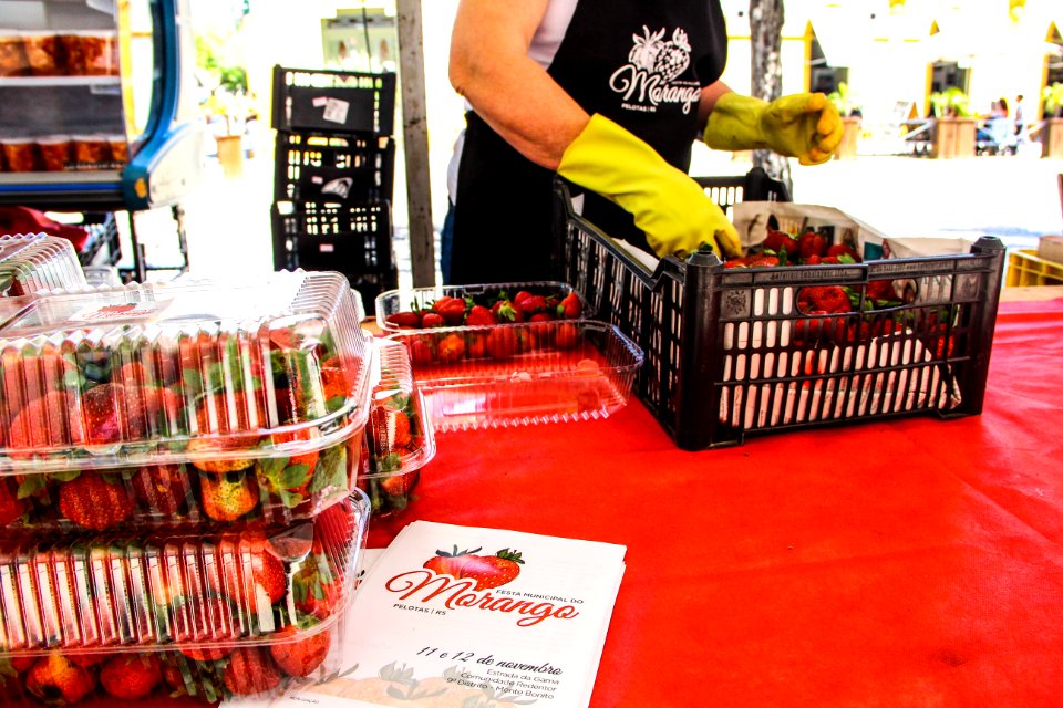 06.11.2017 - Banca de Morangos no Largo do Mercado - Feira do Morango