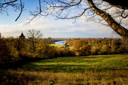 Richmond Park
