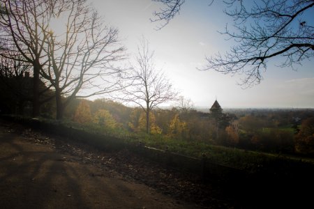 Richmond Park