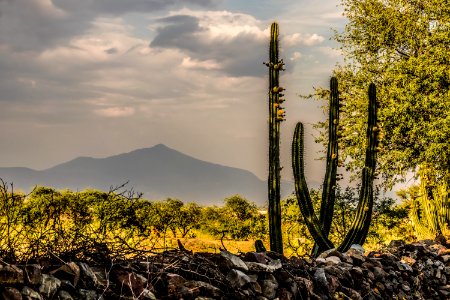 Techaluta, Jalisco, México