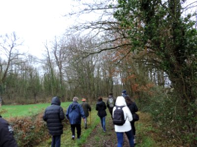 5entrée dans le bois