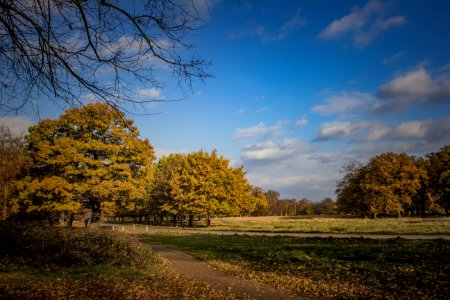 Richmond Park