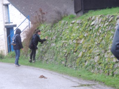 90DSCN6193 c'est la recherche du trésor. elles déboitent les pierres